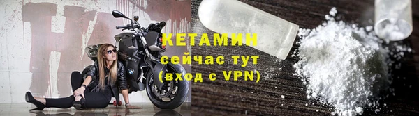 прущие грибы Волоколамск