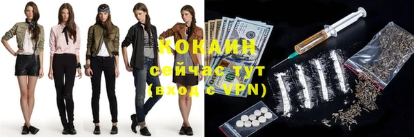 прущие грибы Волоколамск