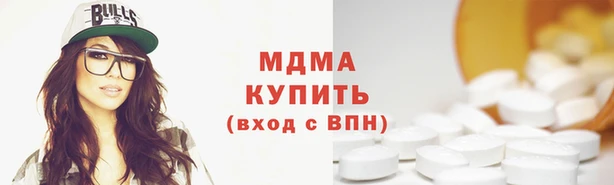 прущие грибы Волоколамск