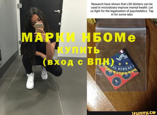 прущие грибы Волоколамск