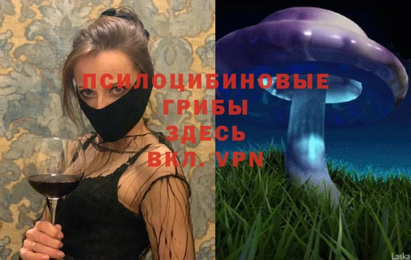 прущие грибы Волоколамск
