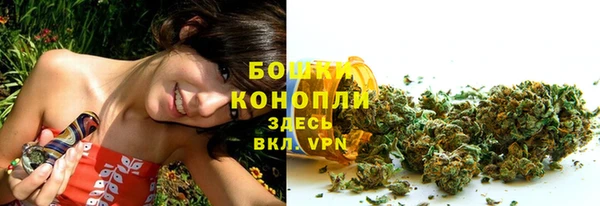 прущие грибы Волоколамск
