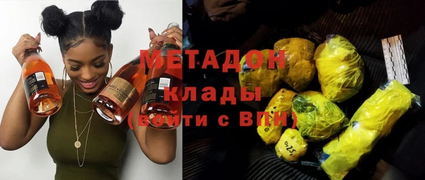 прущие грибы Волоколамск