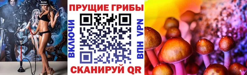 где продают   нарко площадка клад  Псилоцибиновые грибы GOLDEN TEACHER  Миасс 